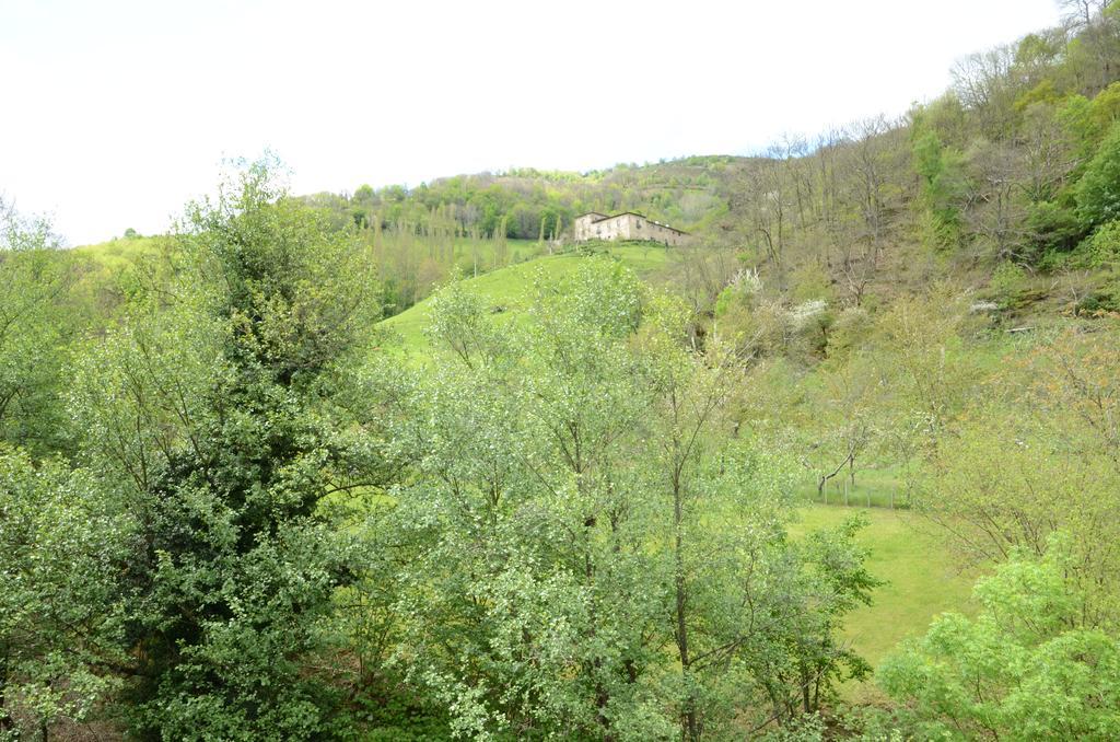 Apartamentos El Rincon De Limes Cangas De Narcea Esterno foto