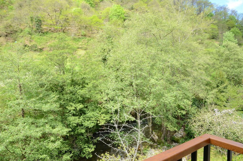 Apartamentos El Rincon De Limes Cangas De Narcea Esterno foto