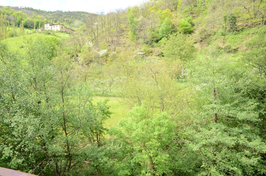 Apartamentos El Rincon De Limes Cangas De Narcea Esterno foto
